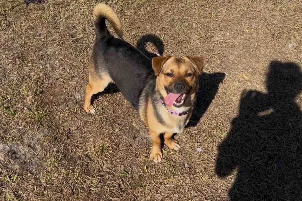 Little Man — thumbnail 5