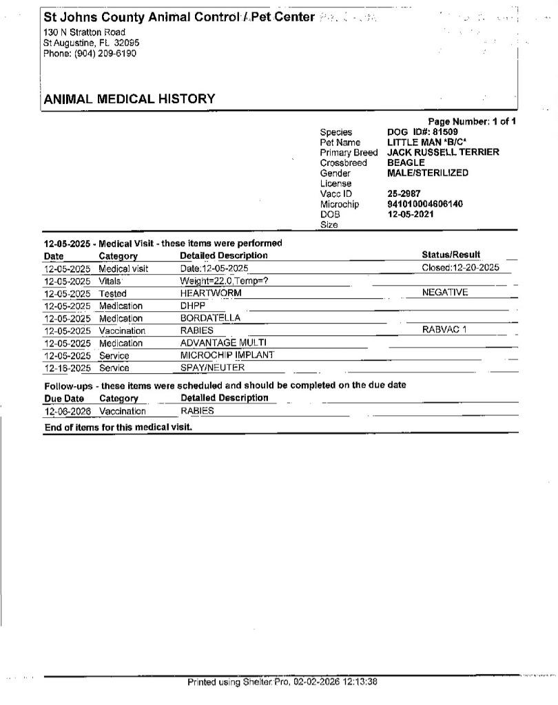 Little Man — thumbnail 6