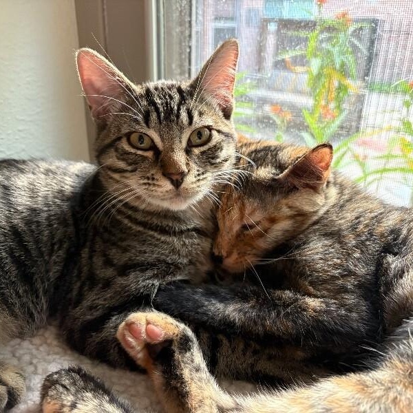 Fishbait Jerny — thumbnail 3