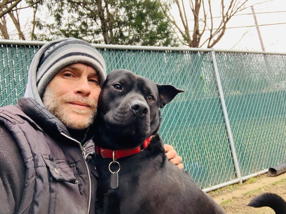 Enlarge Bruno aka Mr. WooWoo, a Adoptable mixed breed in Brewster , NY image 2/6