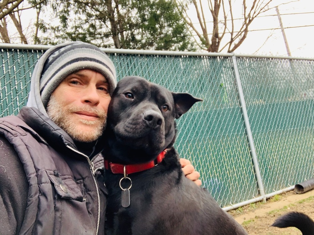 Bruno aka Mr. WooWoo, an adoptable Shar-Pei in Brewster , NY, 10509 | Photo Image 3