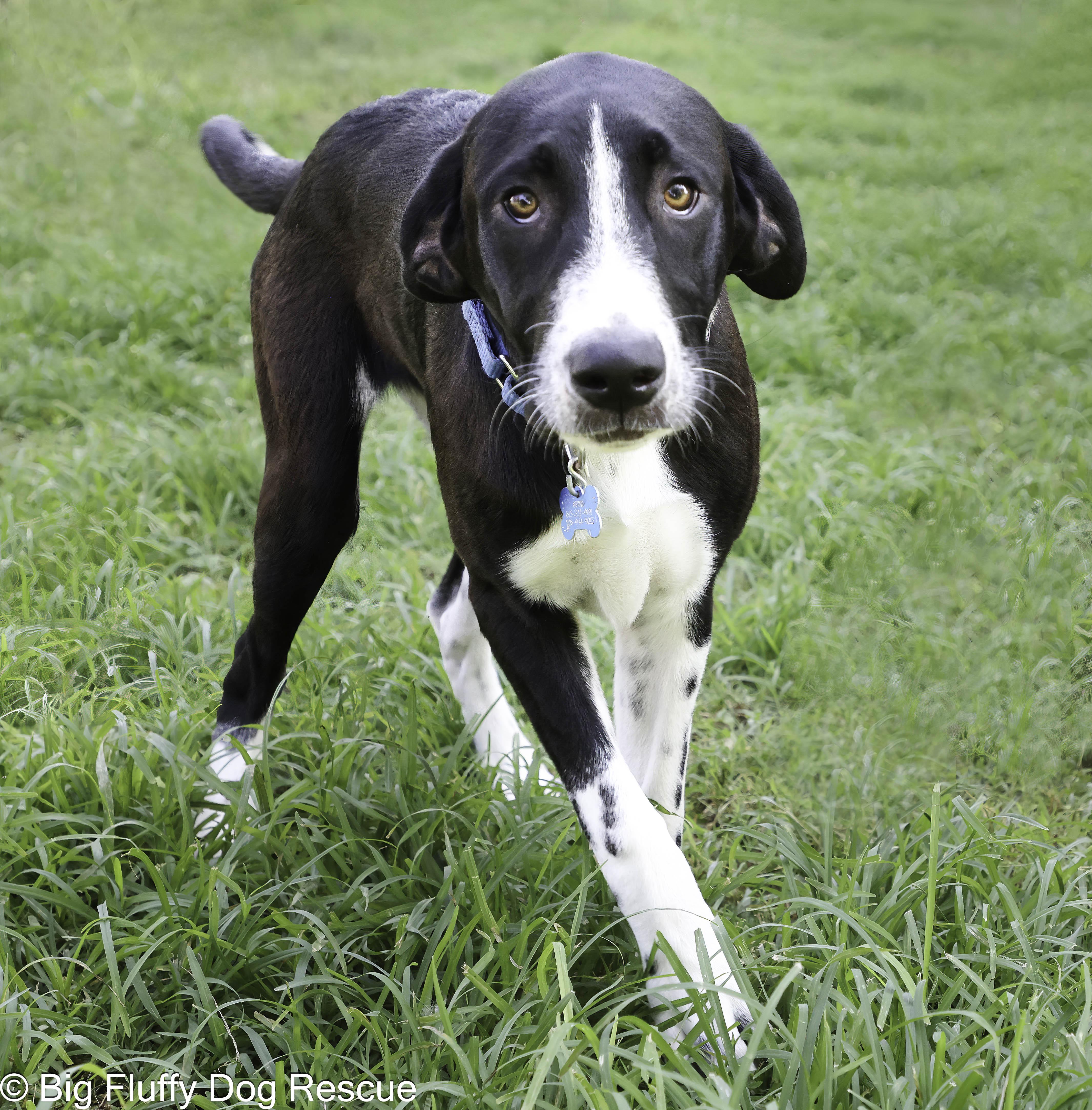 Bruce photo 3