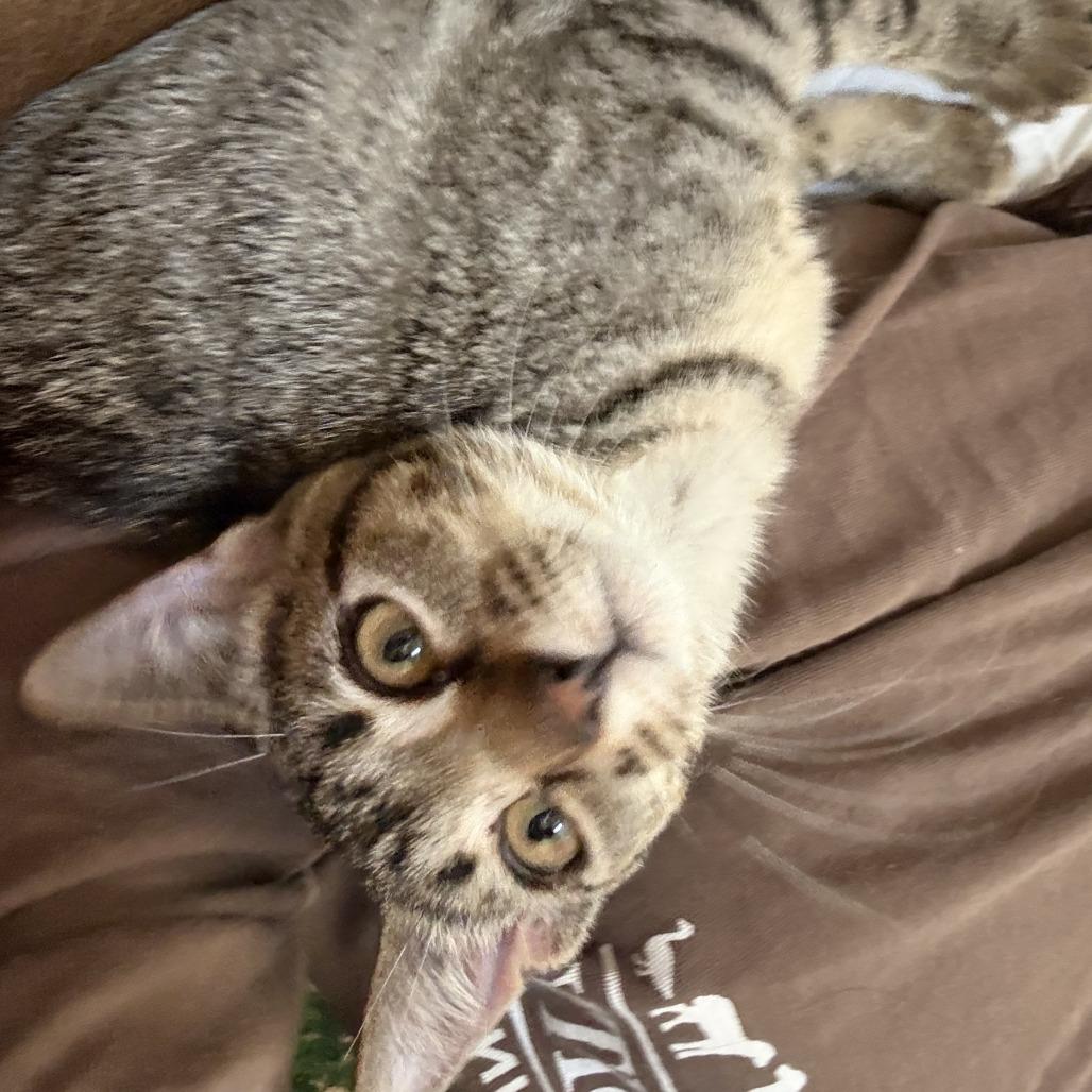 Baby — thumbnail 2