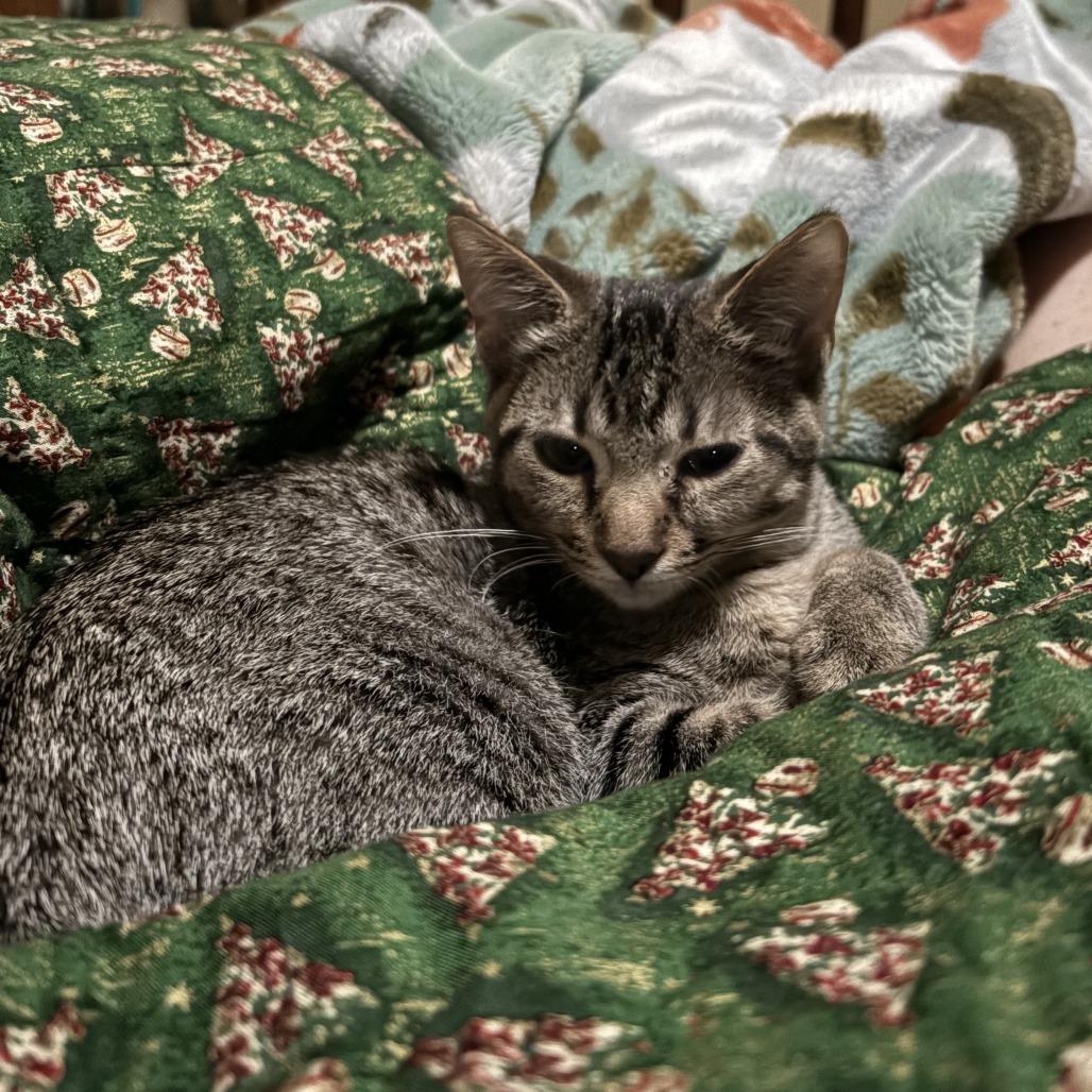 Baby — thumbnail 3