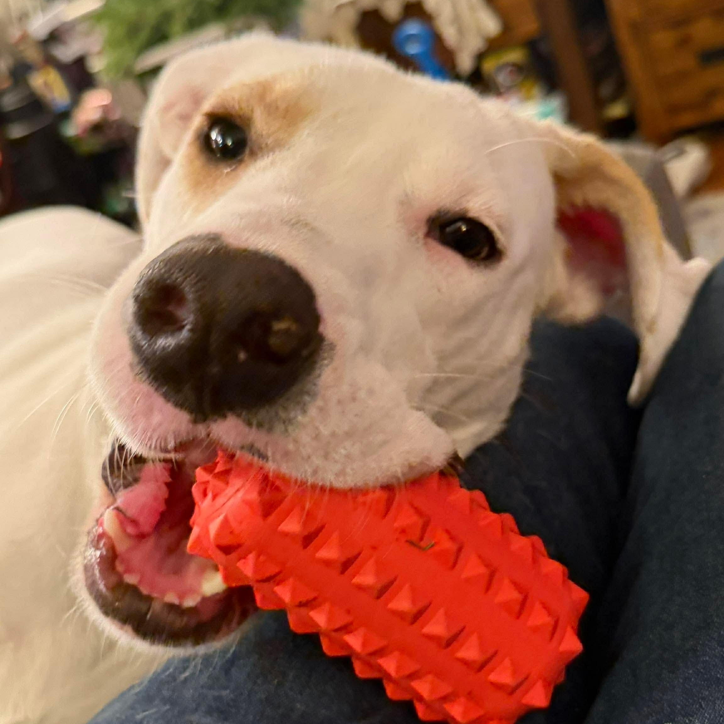 Lumos — thumbnail 4