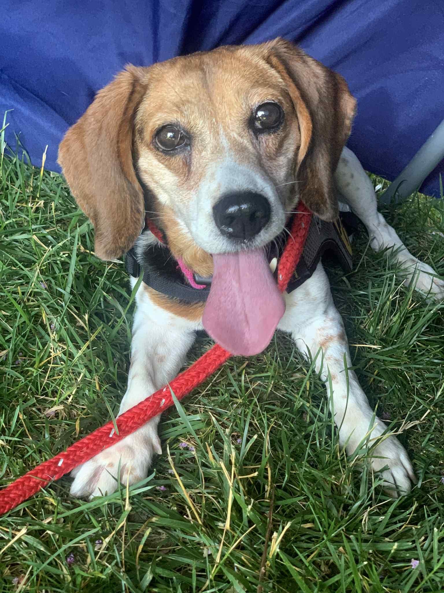 Maggie