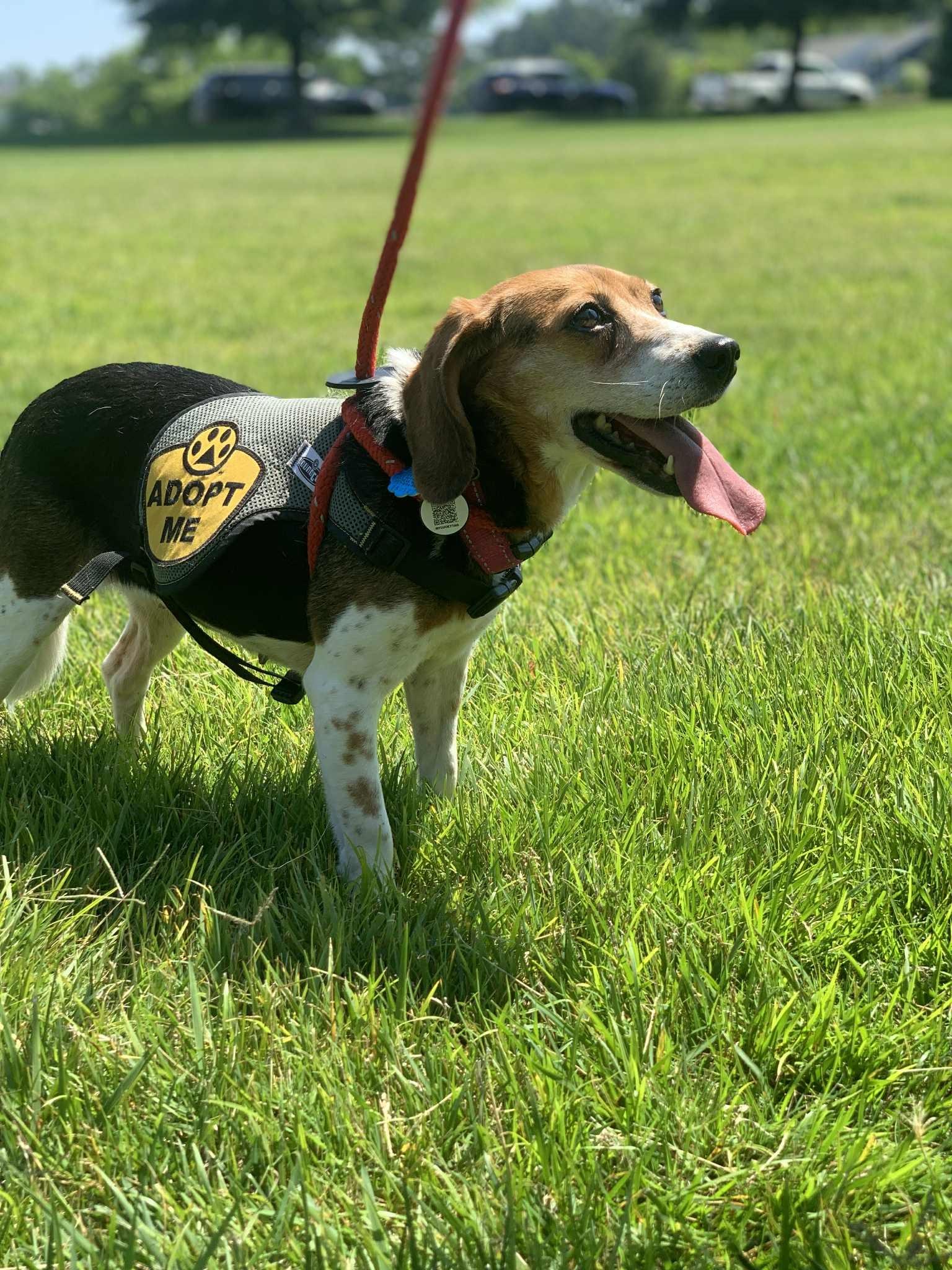 Maggie photo 2