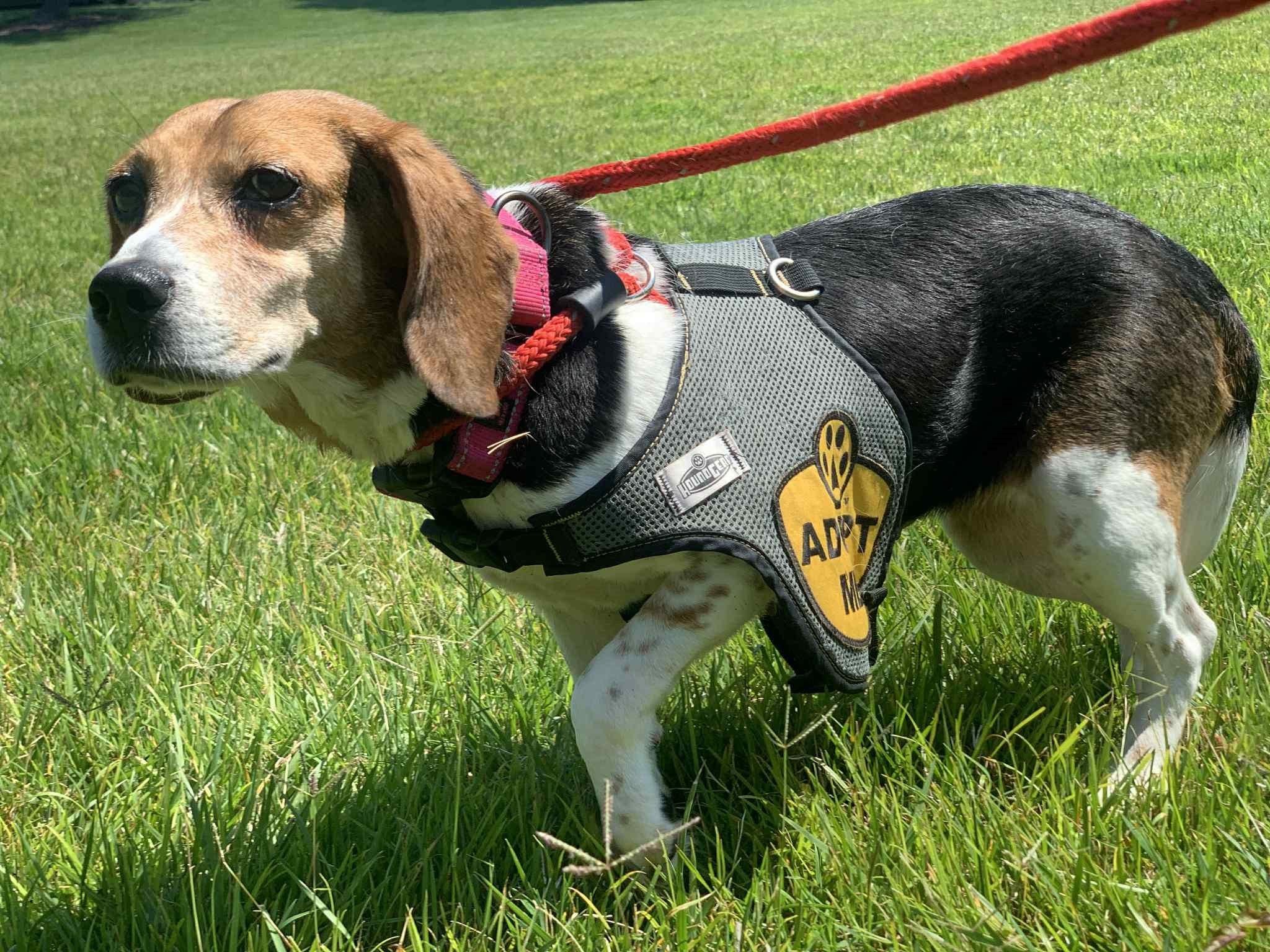 Maggie photo 3