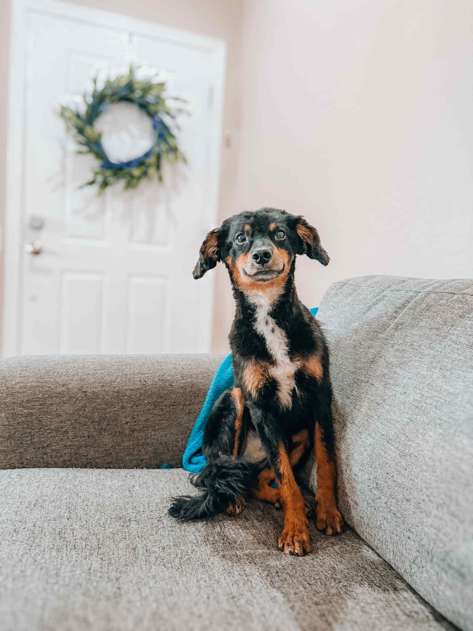 Juno