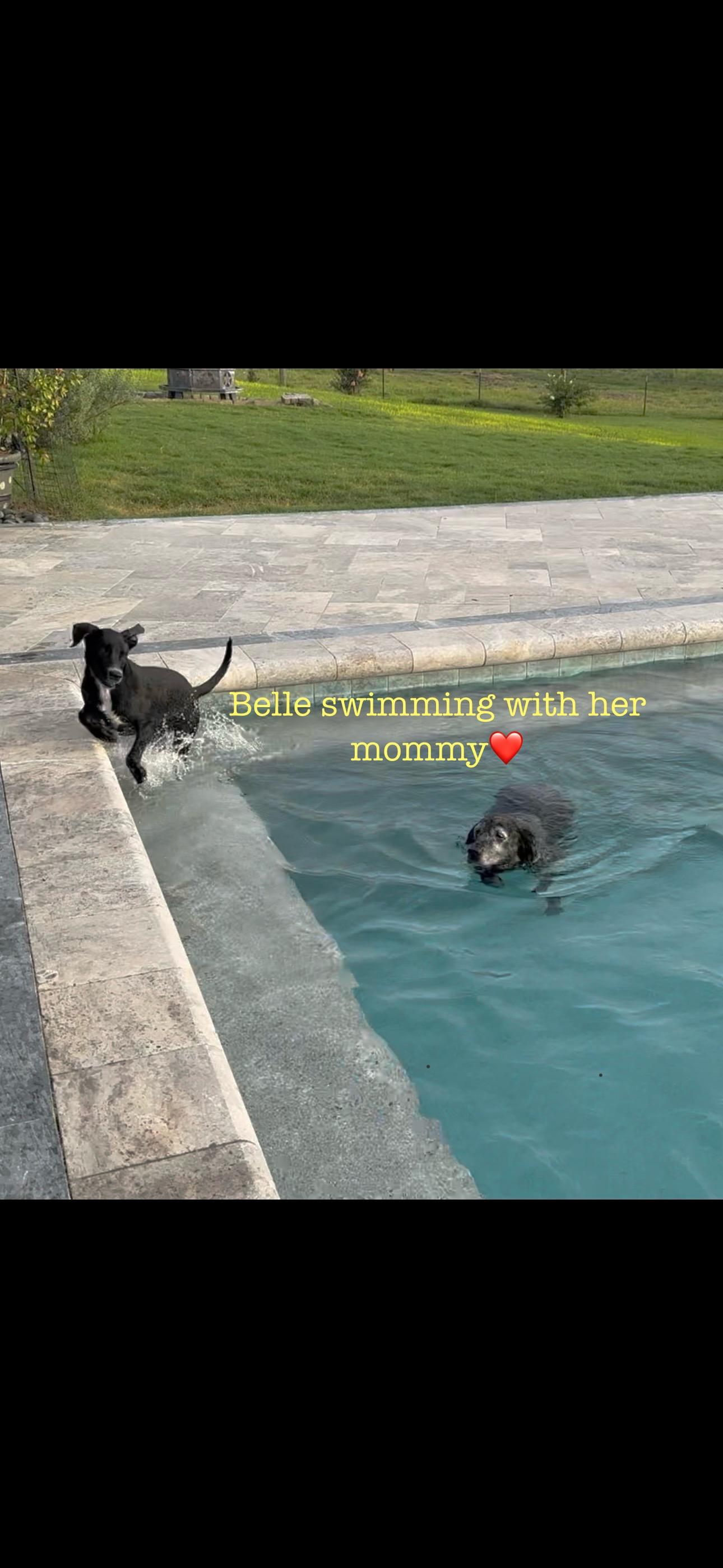 Belle thumbnail 3