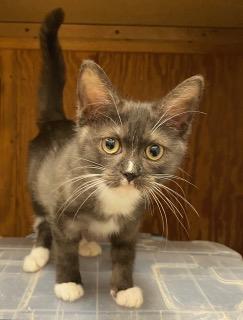 Hinata  Tiny Little thumbnail 2