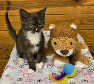 Hinata  Tiny Little thumbnail 5