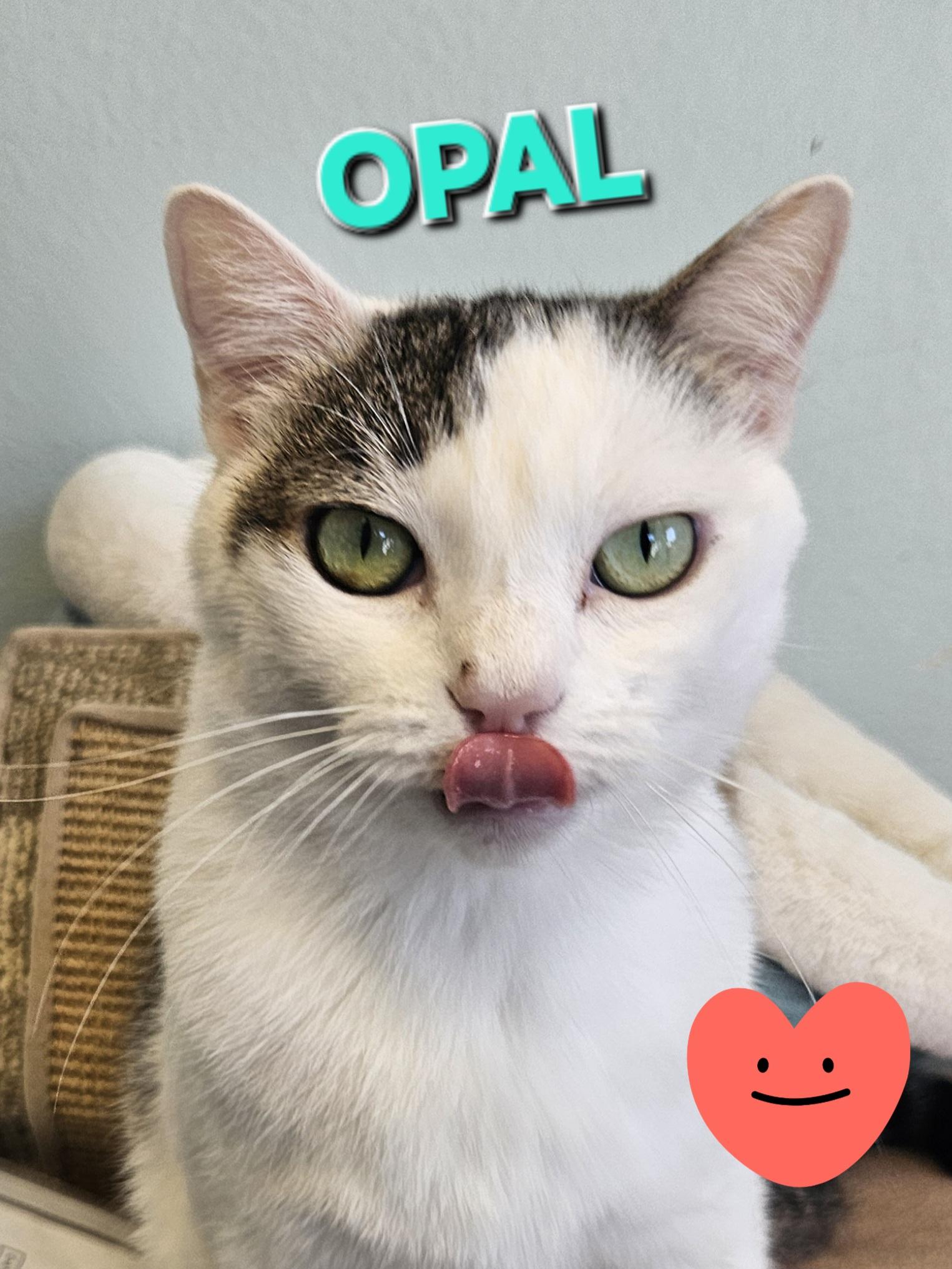 Opal