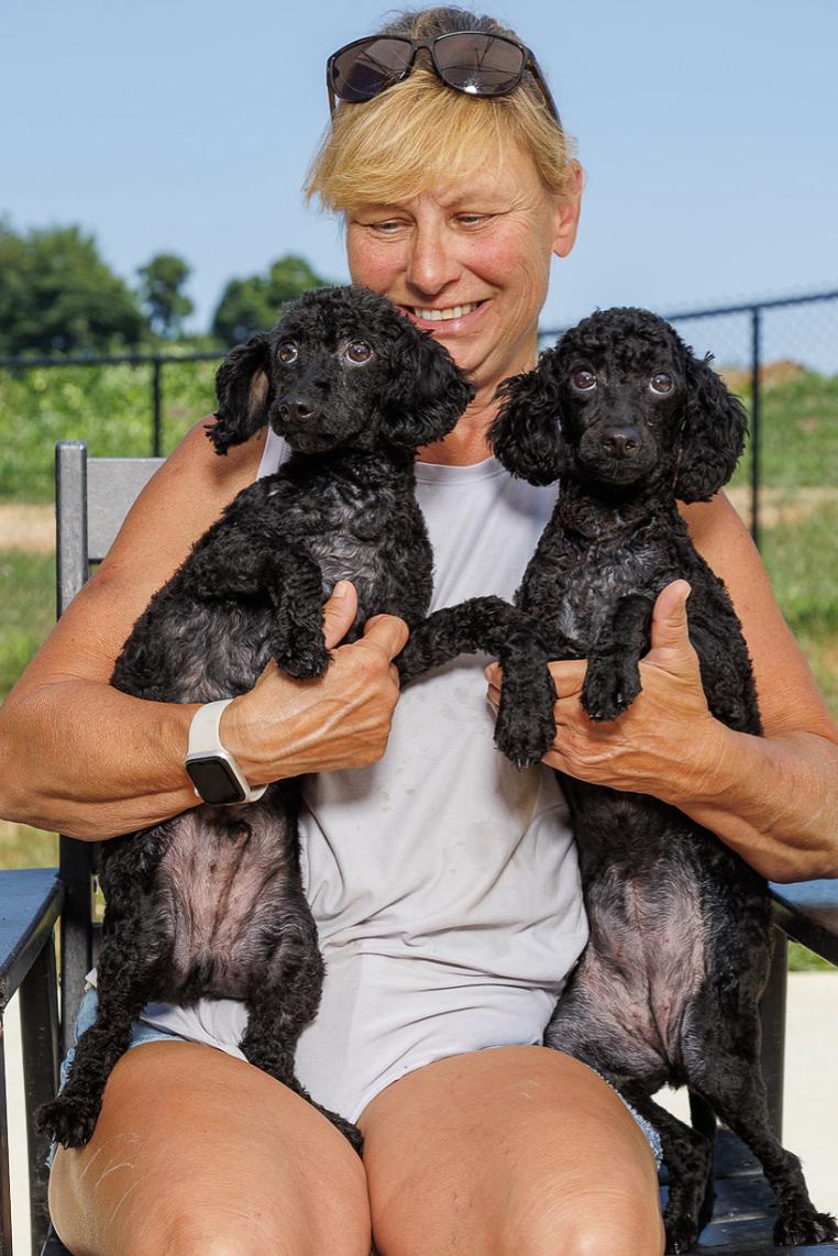 Enlarge Balthazar and Macy, an adopted mixed breed in Chester Springs, PA image 1/2