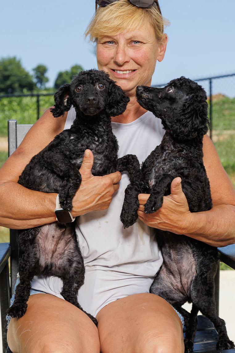 Enlarge Balthazar and Macy, an adopted mixed breed in Chester Springs, PA image 2/2