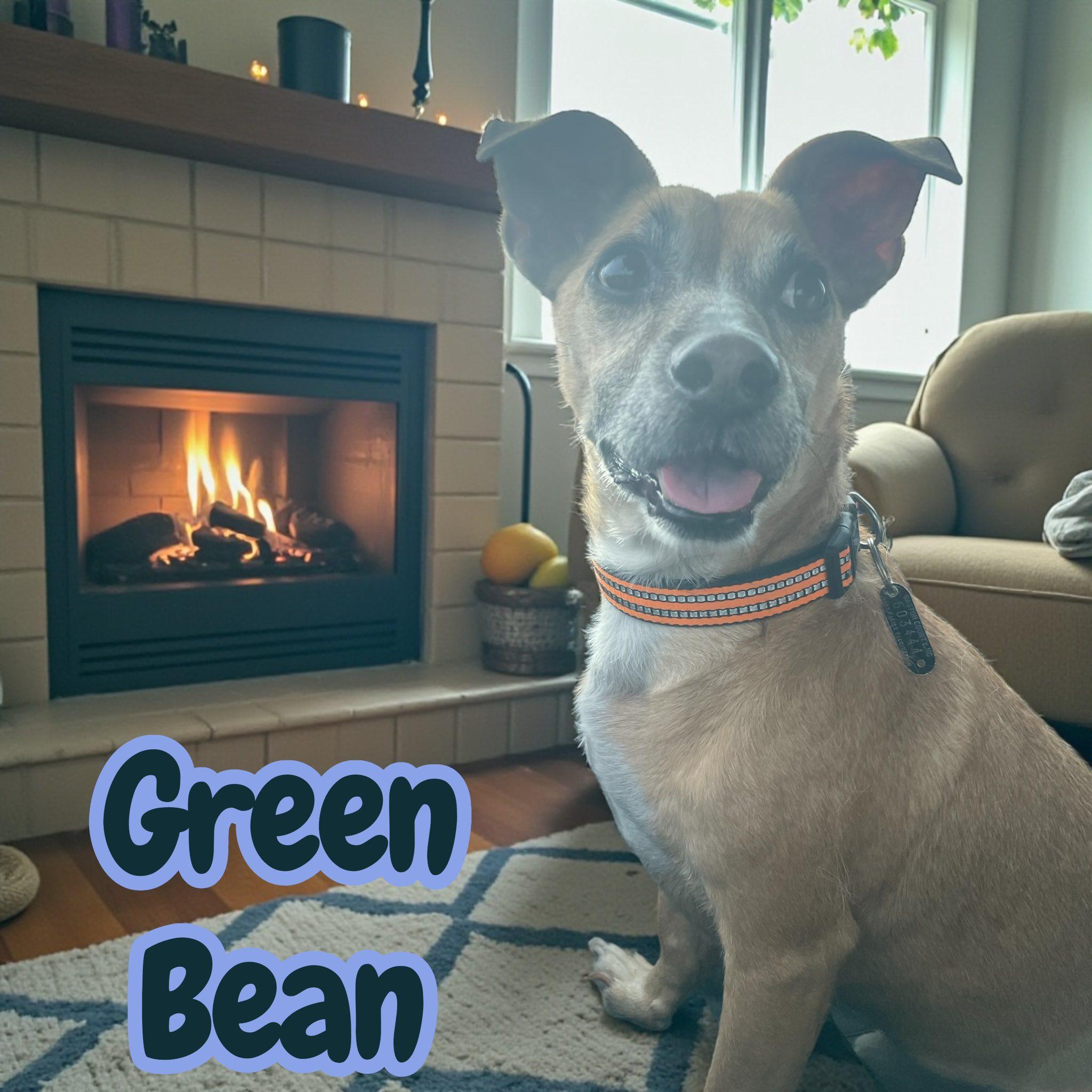 Green Bean thumbnail 3