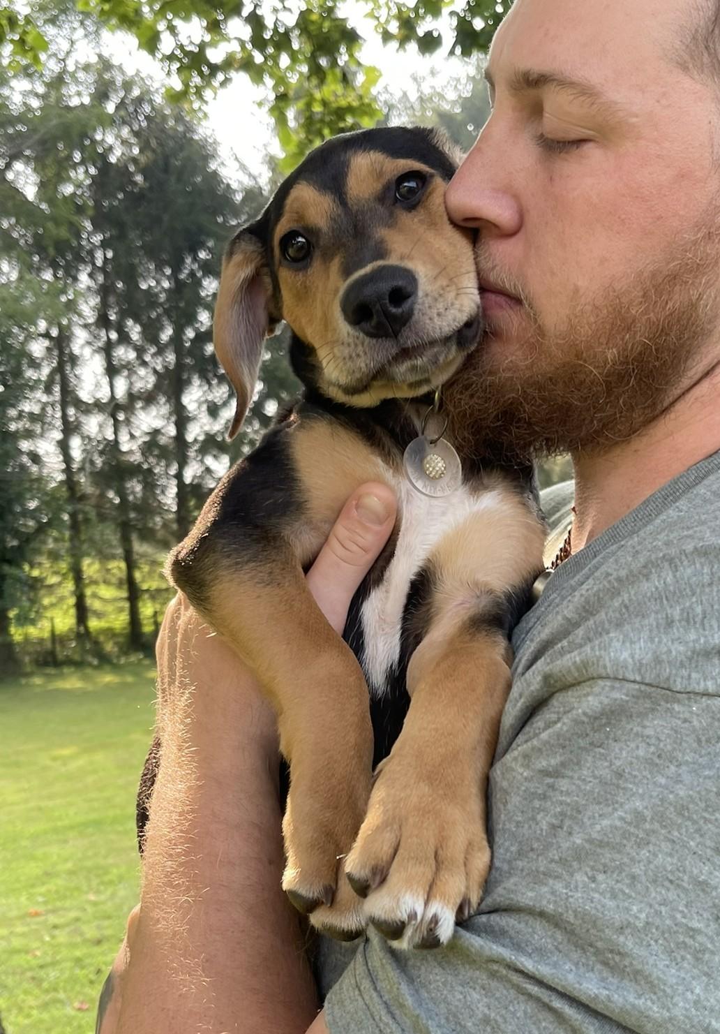 Cedar, an adopted mixed breed in Culpeper, VA image 5/6