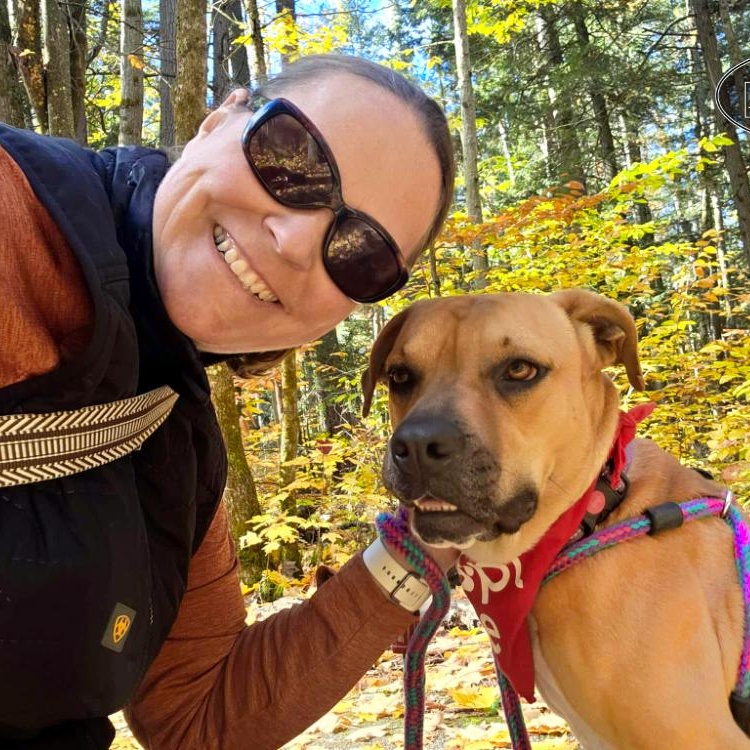 Juno, an adoptable Mixed Breed in Grayling, MI, 49738 | Photo Image 2