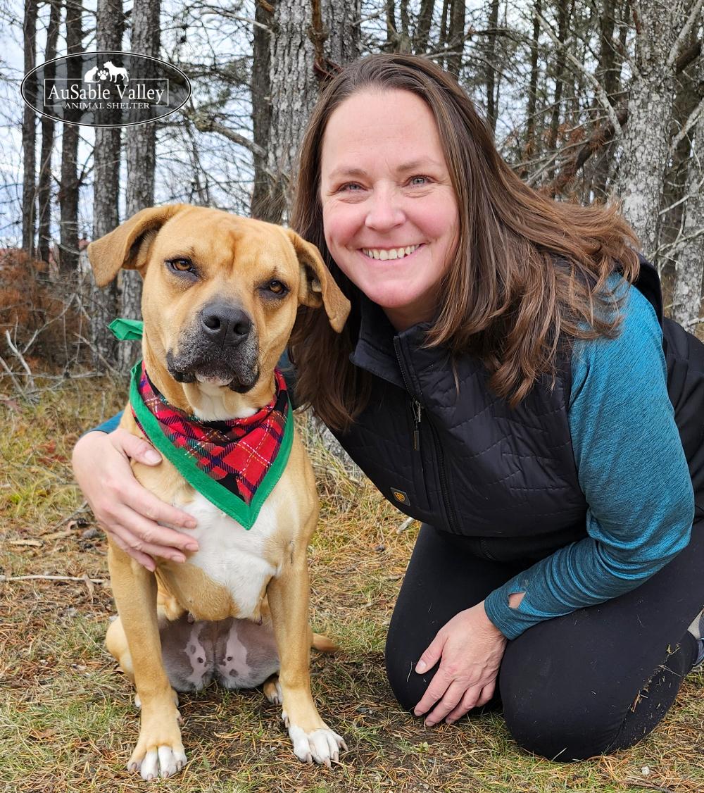 Juno, an adoptable Mixed Breed in Grayling, MI, 49738 | Photo Image 1