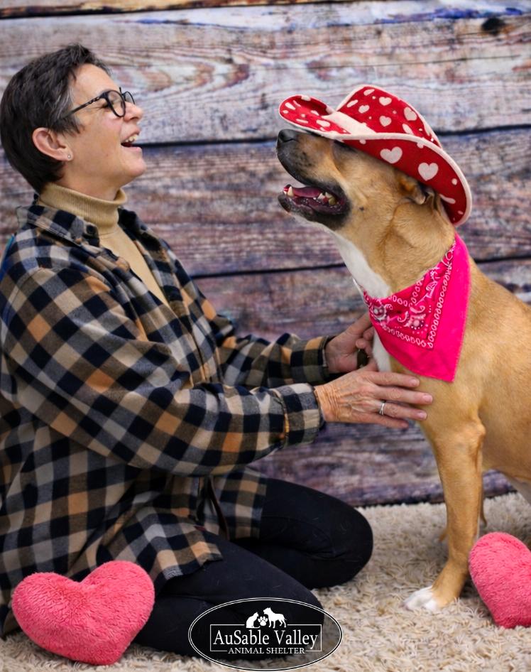 Juno, a Adoptable mixed breed in Grayling, MI image 4/6