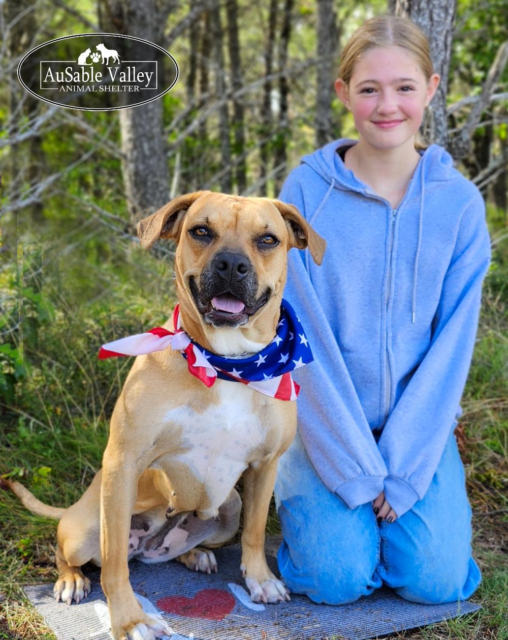 Juno, an adoptable Mixed Breed in Grayling, MI, 49738 | Photo Image 2