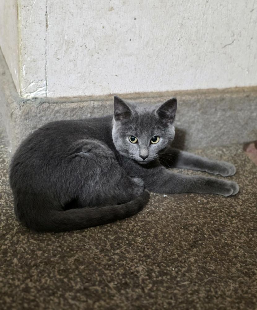 Mail Stop : Taco thumbnail 2