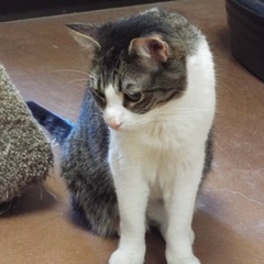 Zeke photo 3
