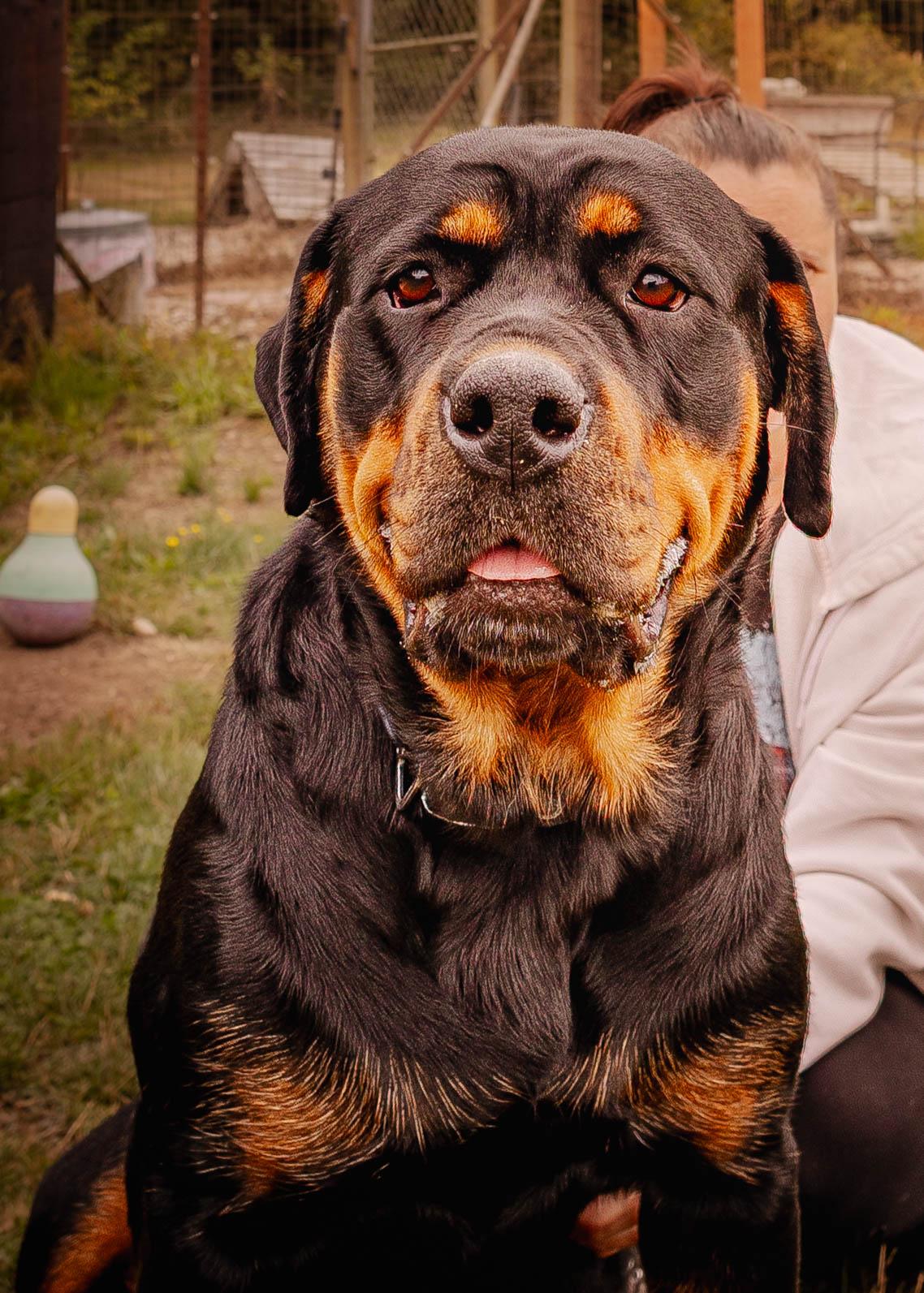 Betty
