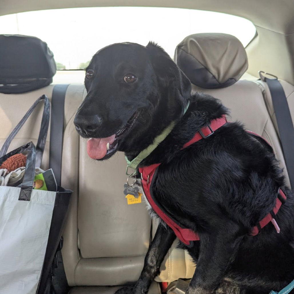 Midnight Train (New Digs)