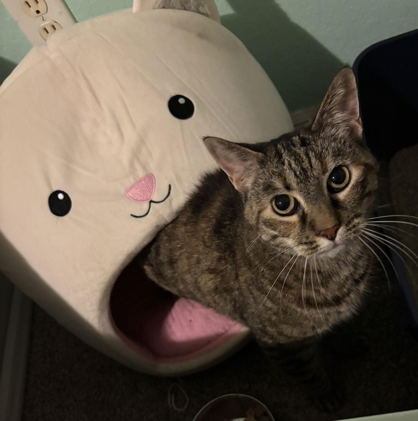 Sugar & Spice 8.20.14 — thumbnail 2