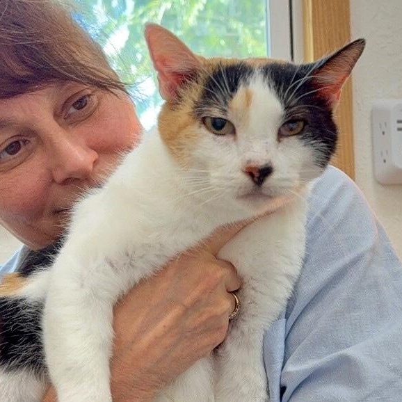 Molly Fish — thumbnail 3