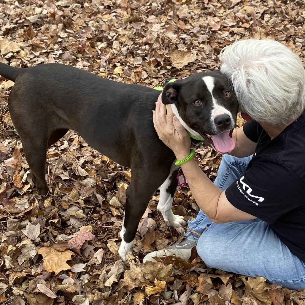 Marley Mae 2483, a Adoptable Mixed Breed in Columbus, GA image 2/6