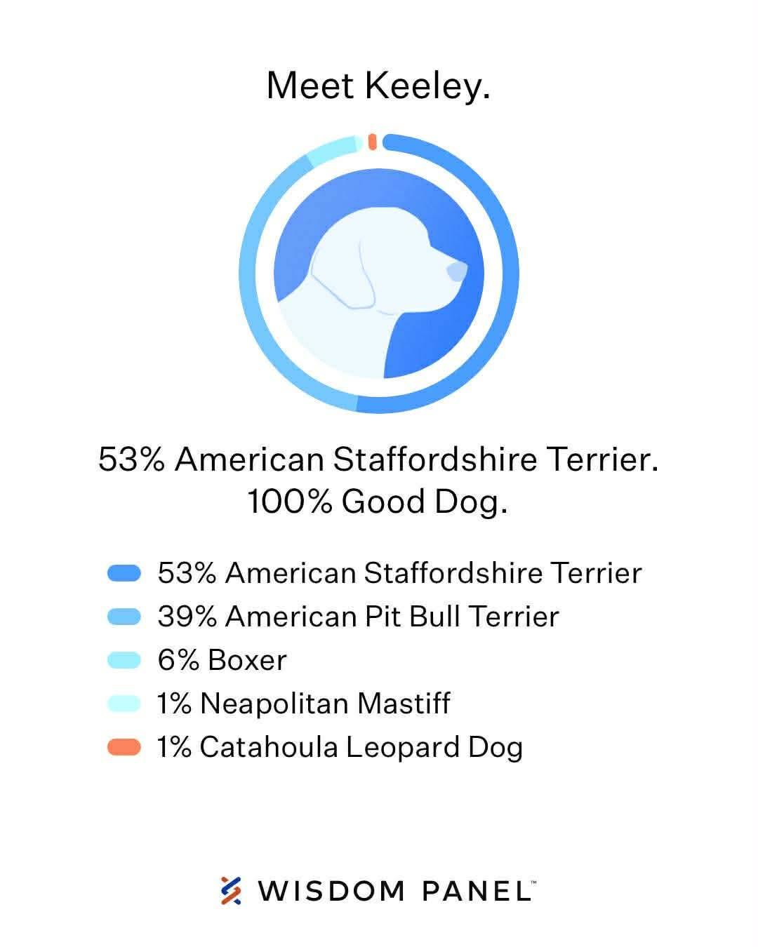 Enlarge Keeley (Kiwi), a ADOPTABLE mixed breed in Andersonville, TN image 4/4