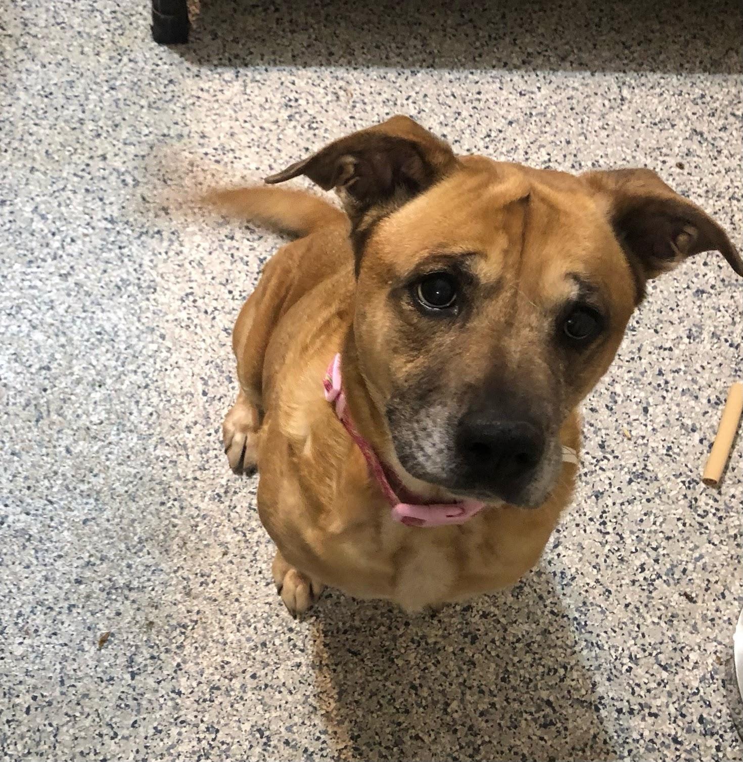 Maggie photo 3