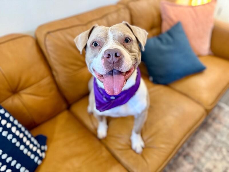 Zoey Playful Easy Going Gal — thumbnail 5