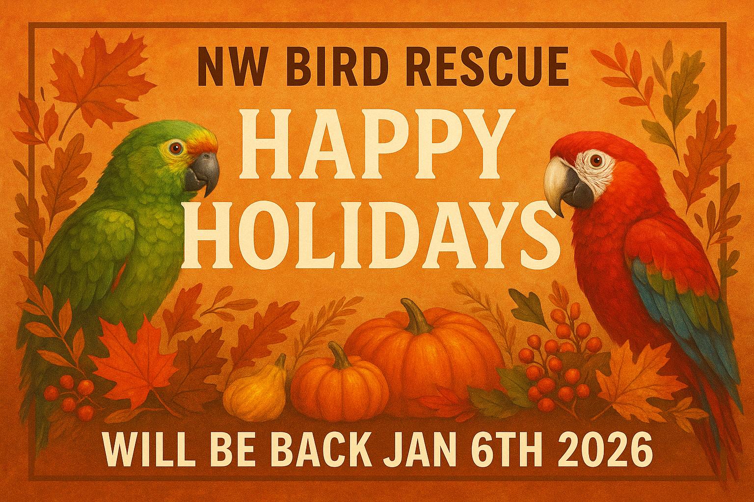 Enlarge Happy Holidays!!!, an adoptable Amazon in Vancouver, WA image 1/1