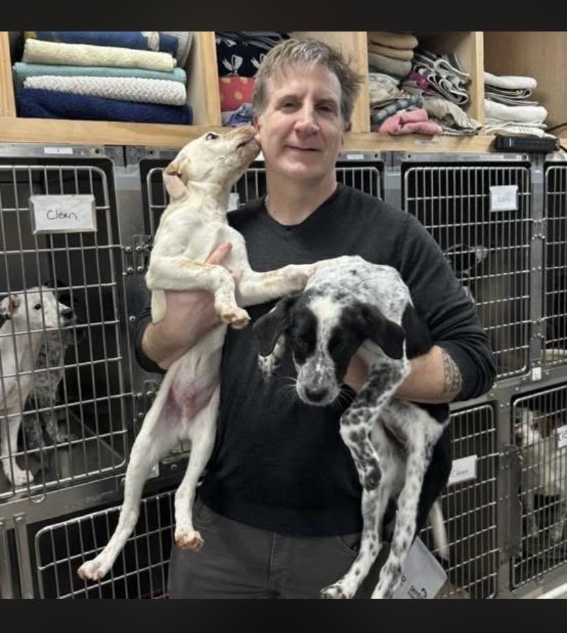 Enlarge Marco, an adopted mixed breed in Philadelphia, PA image 5/6