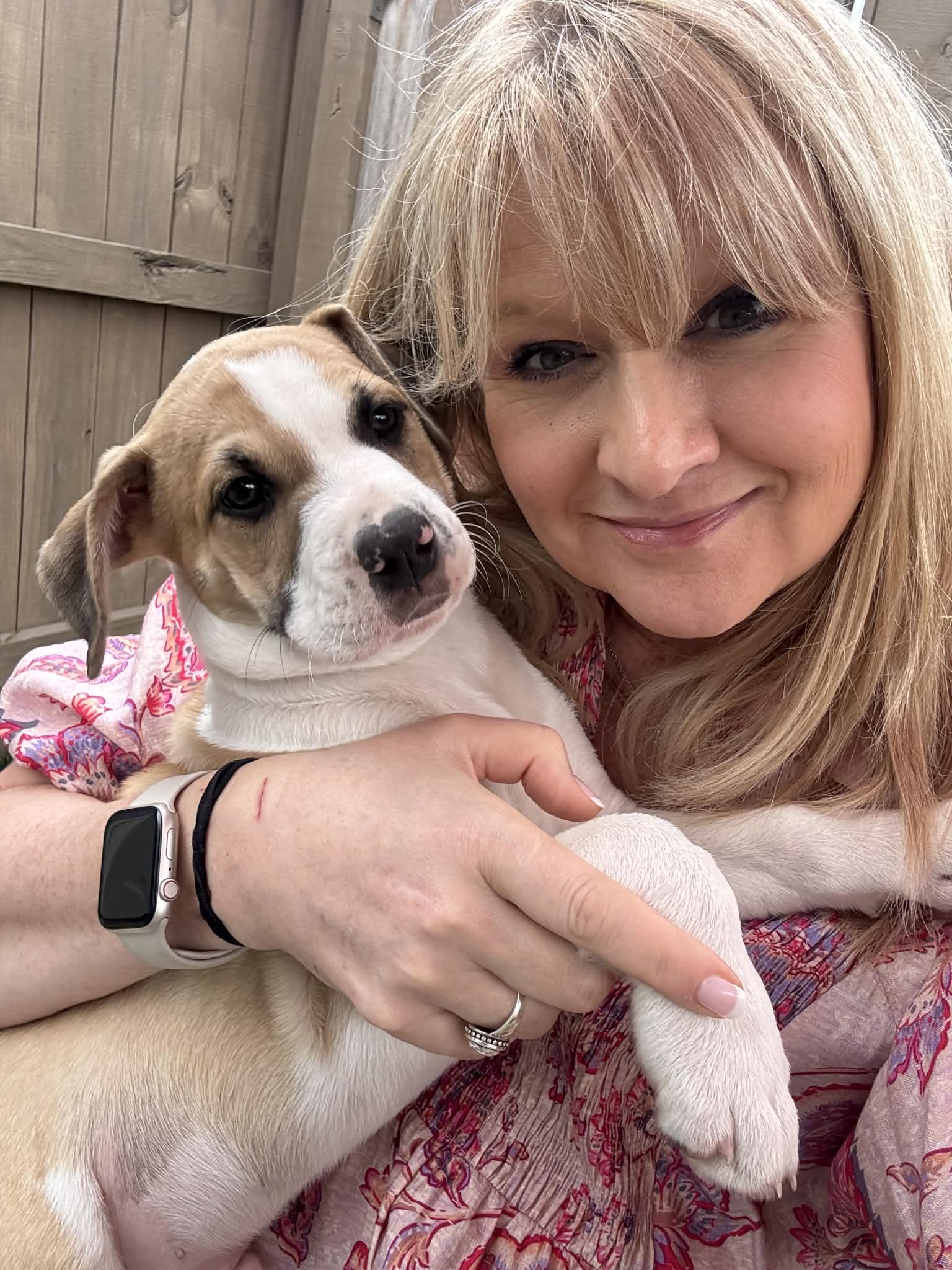 Enlarge Wemby, an adopted mixed breed in Nashua, NH image 3/6