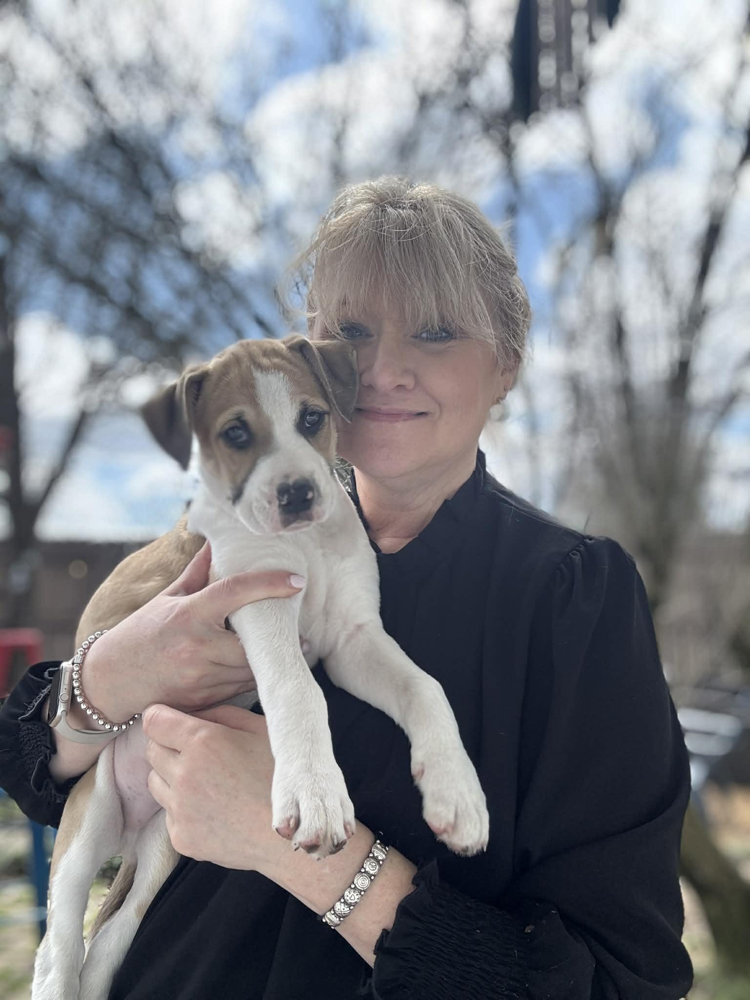 Enlarge Wemby, an adopted mixed breed in Nashua, NH image 6/6