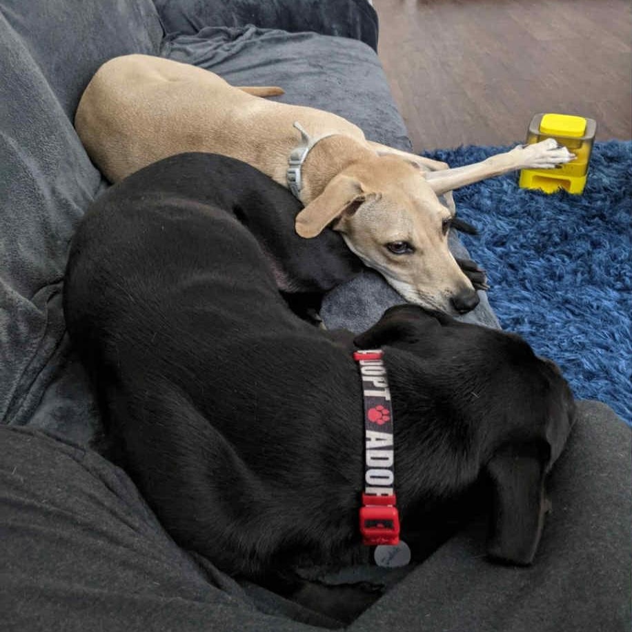 Ben *Bonded Pair*