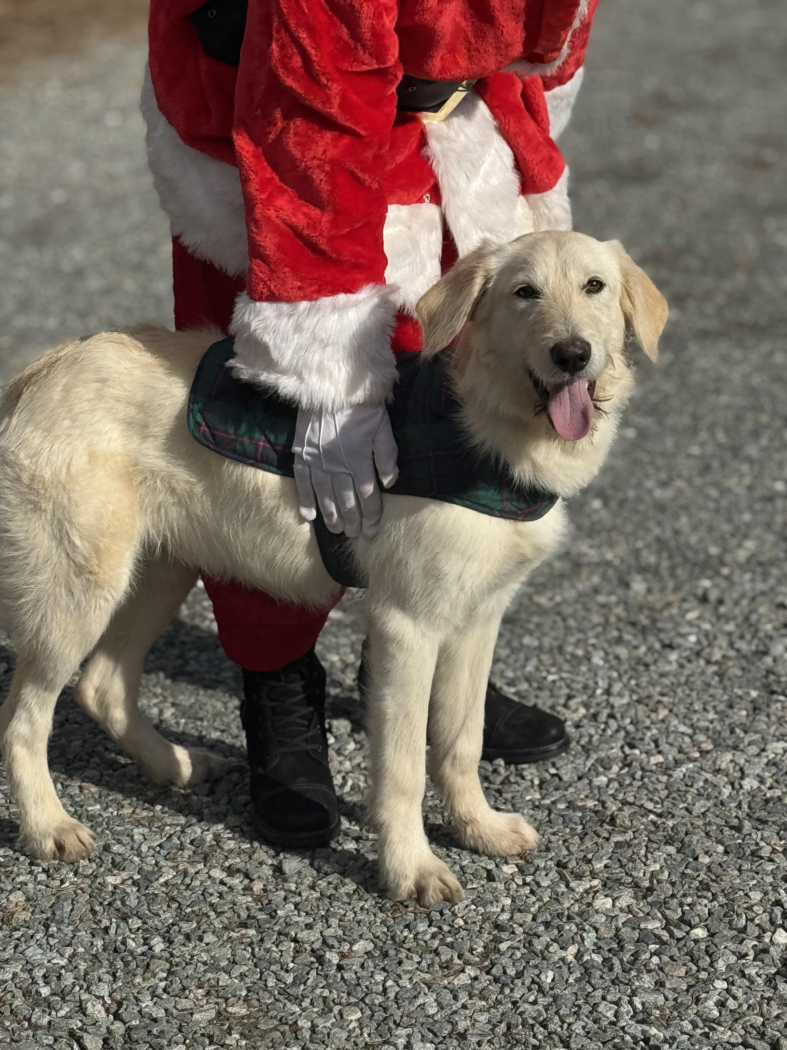 Jack Frost thumbnail 3