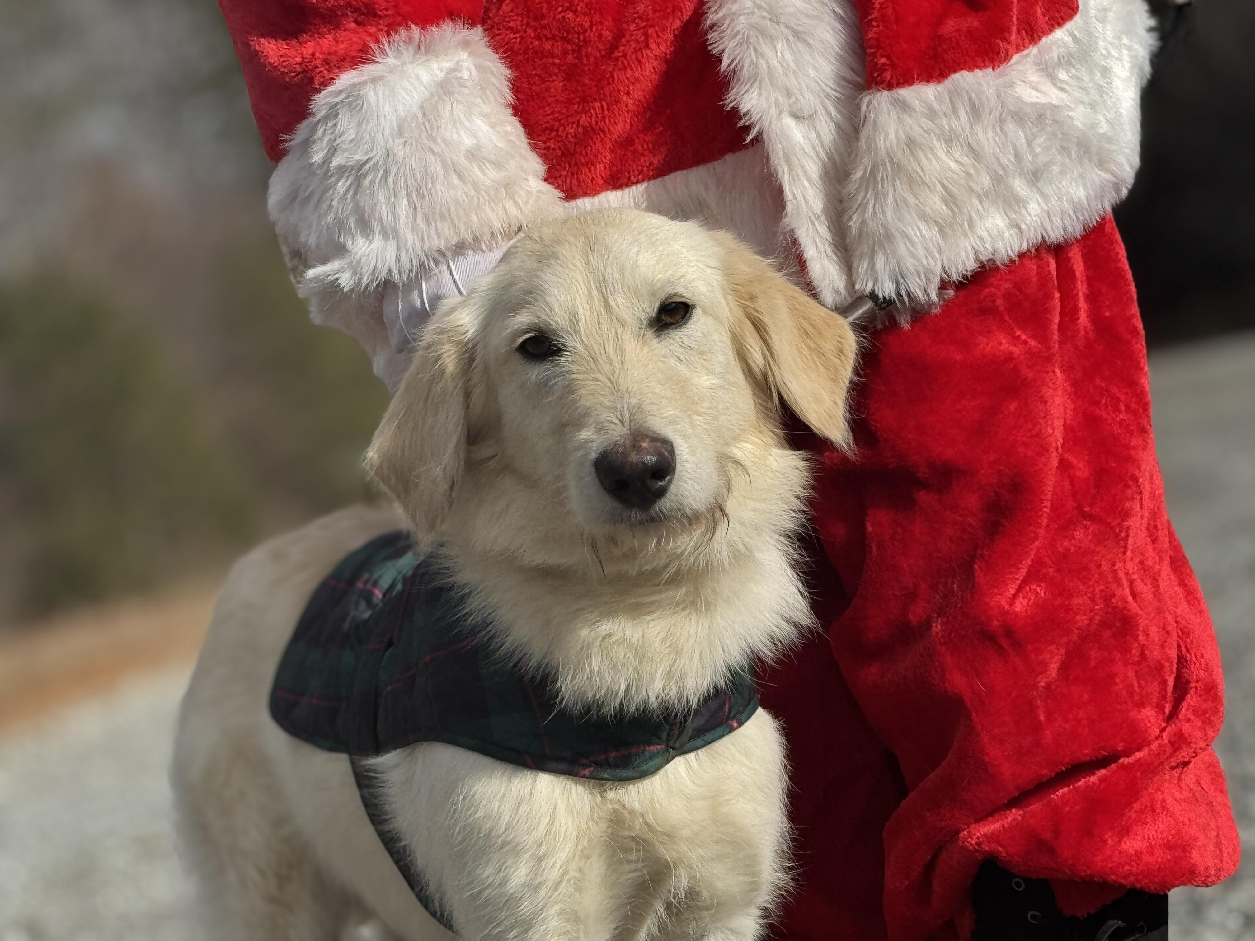 Jack Frost thumbnail 4