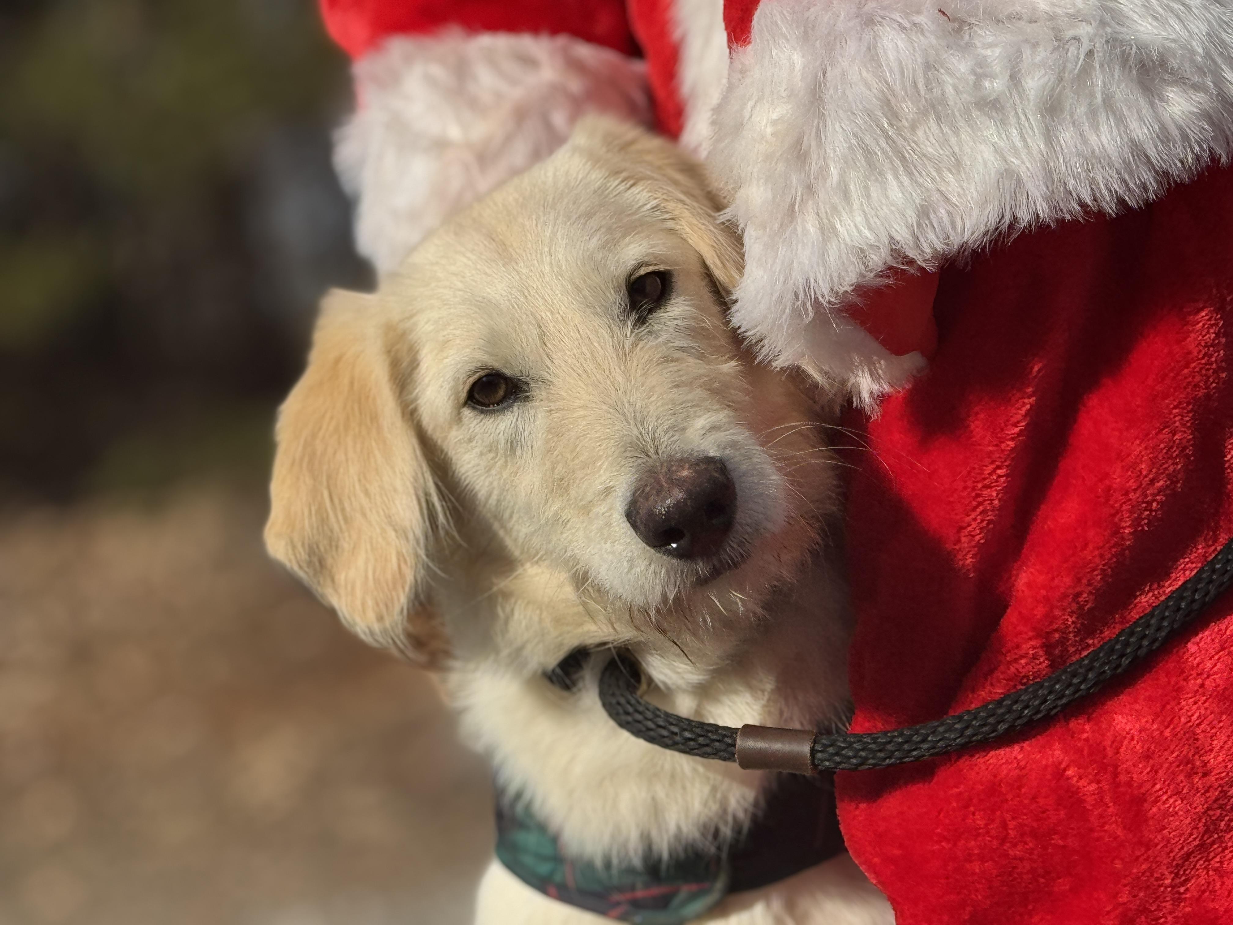 Jack Frost thumbnail 5