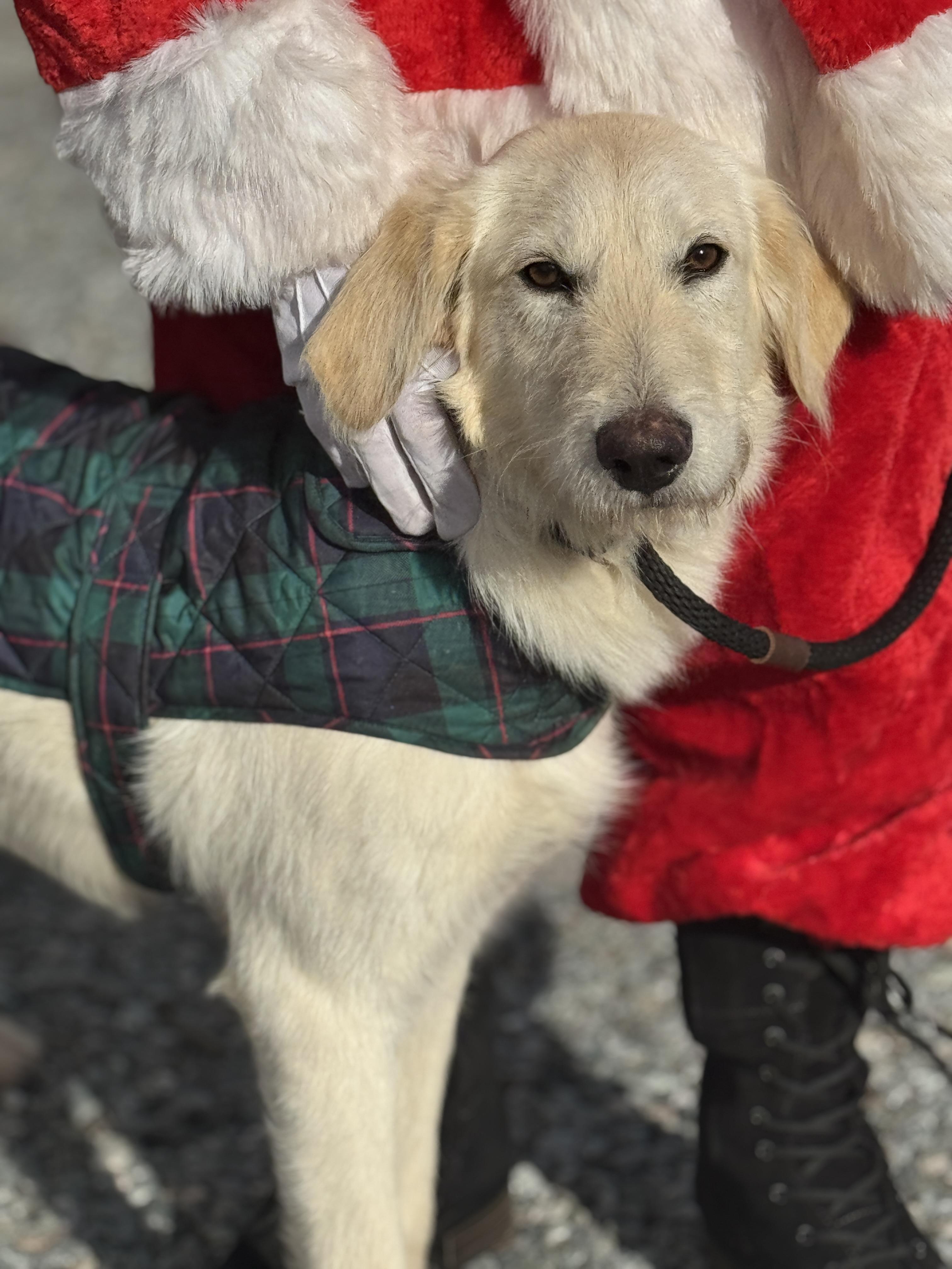 Jack Frost thumbnail 6