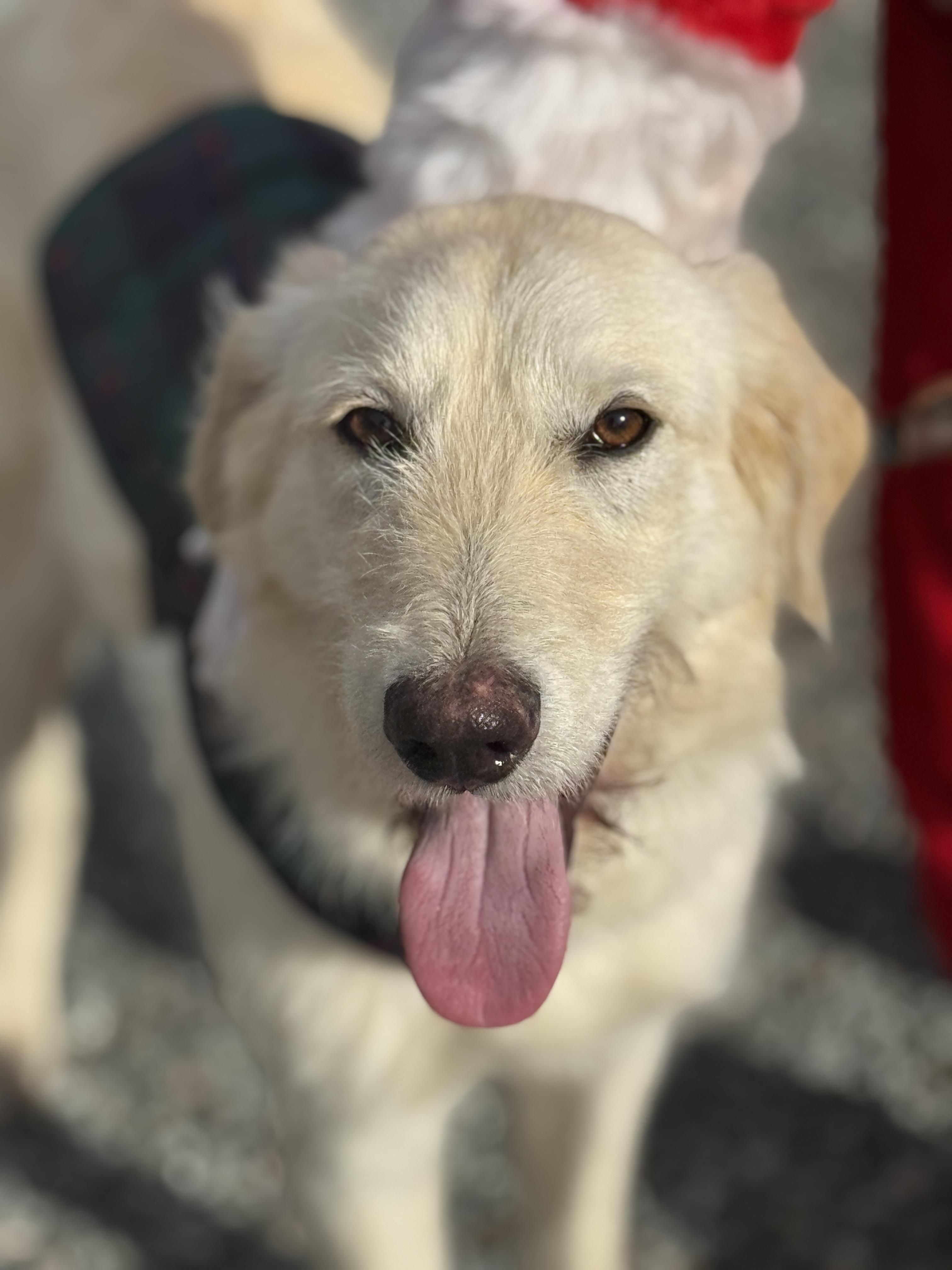 Jack Frost thumbnail 7