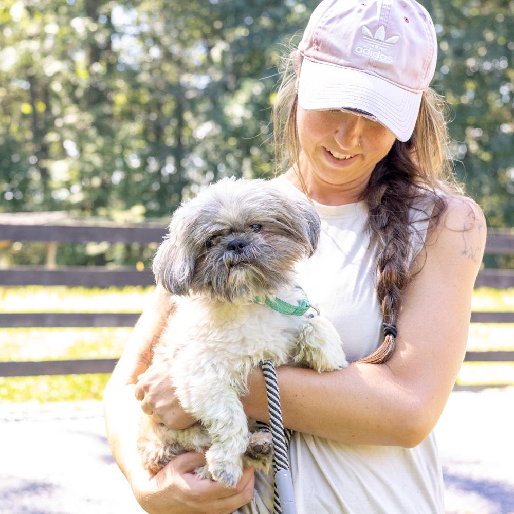 Enlarge Mouse (Male) Avail 9/30, a Adopted Shih Tzu in West Grove, PA image 3/6