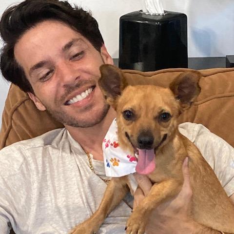 Enlarge Max 595 (formerly Douglas), a Adoptable mixed breed in Indiantown, FL image 4/5