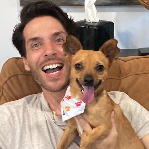 Enlarge Max 595 (formerly Douglas), a Adoptable mixed breed in Indiantown, FL image 5/5