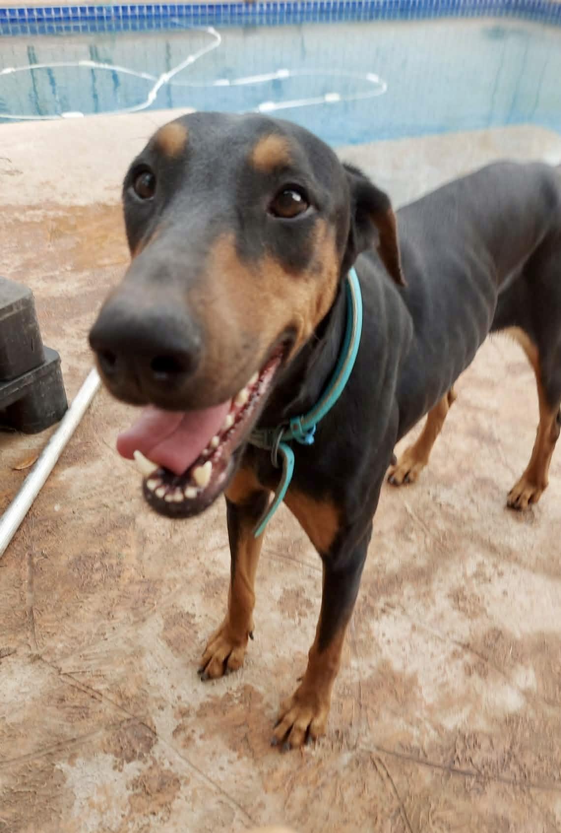 Zula photo