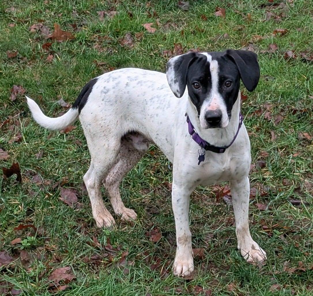 Petey  Meet Me thumbnail 3